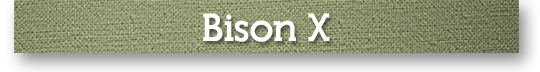 Bison X Title Banner